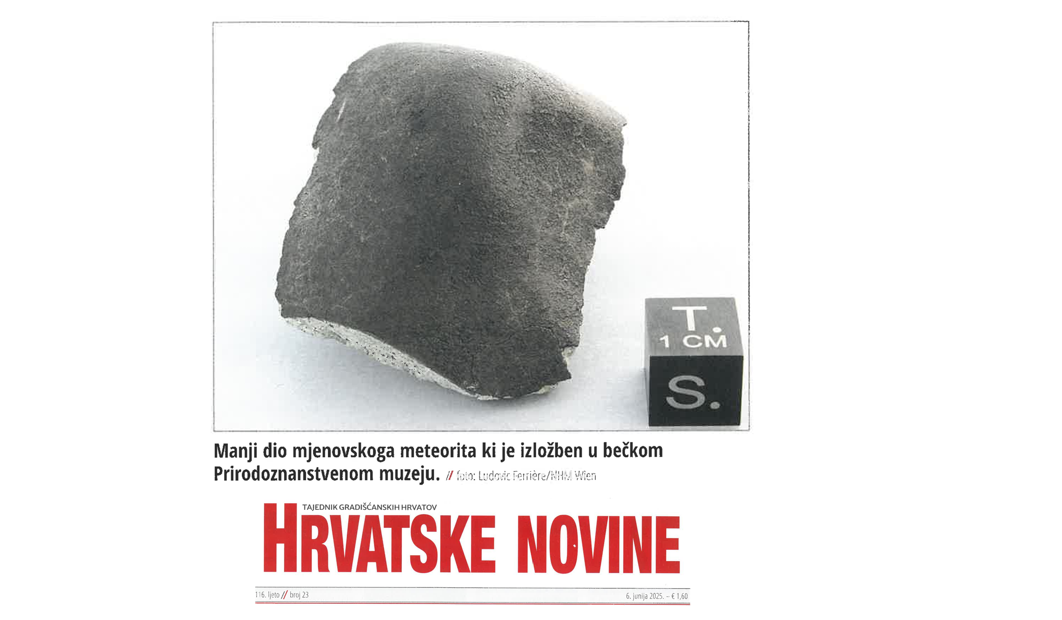 Kategorie Bild